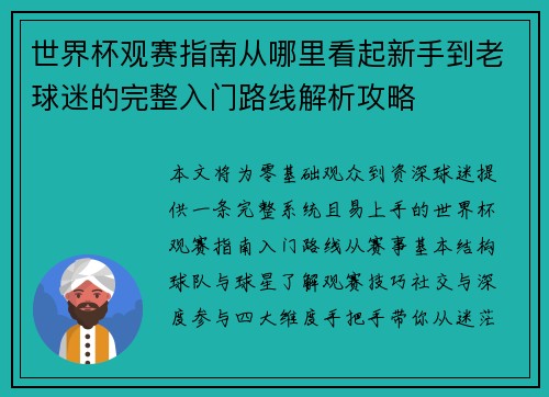 世界杯观赛指南从哪里看起新手到老球迷的完整入门路线解析攻略