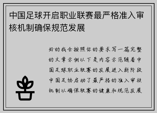 中国足球开启职业联赛最严格准入审核机制确保规范发展